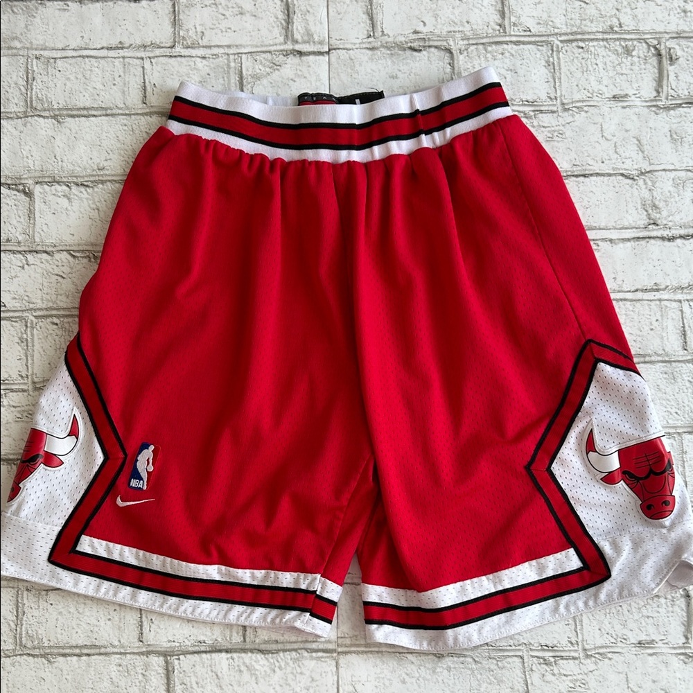 Vintage Nike Chicago Bulls Basketball Shorts